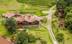 Tree Trek Boquete Adventure Park